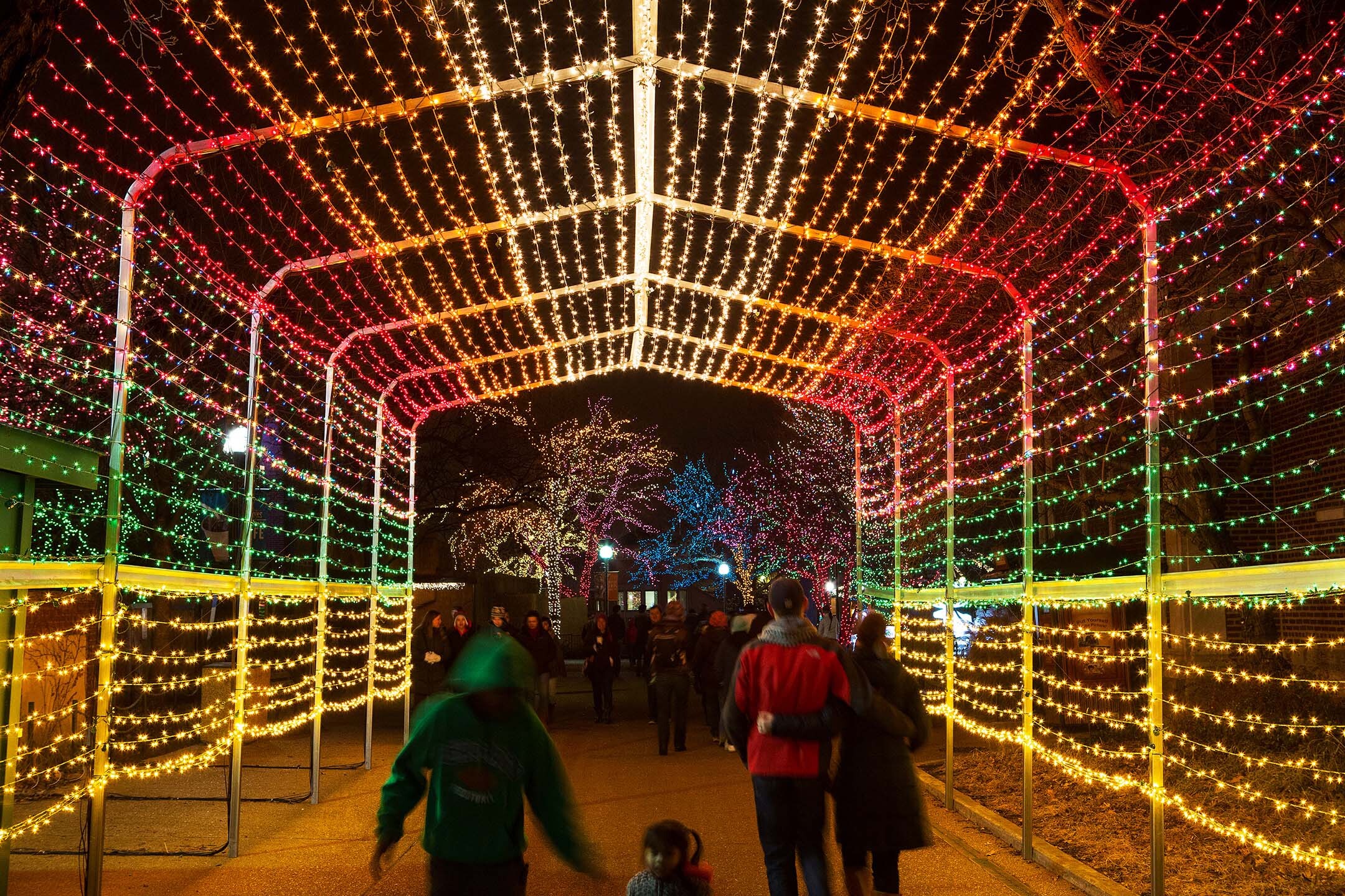 ZooLights at Lincoln Park Zoo