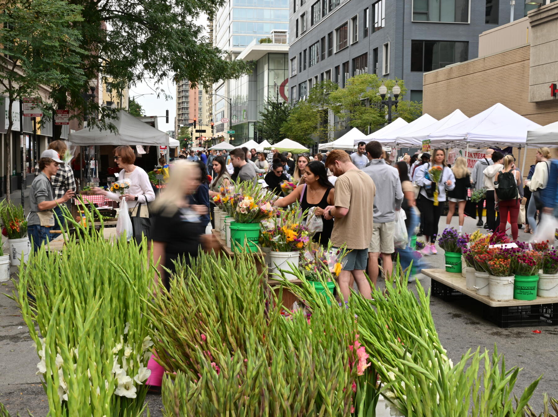 Division Street Farmers Marke