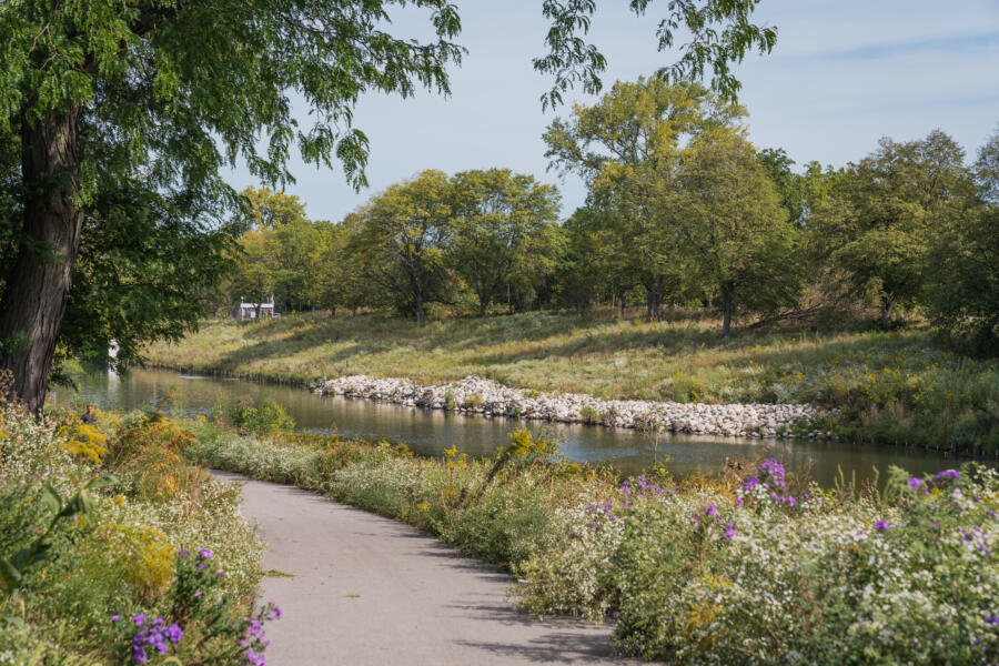 the river in Albany Park